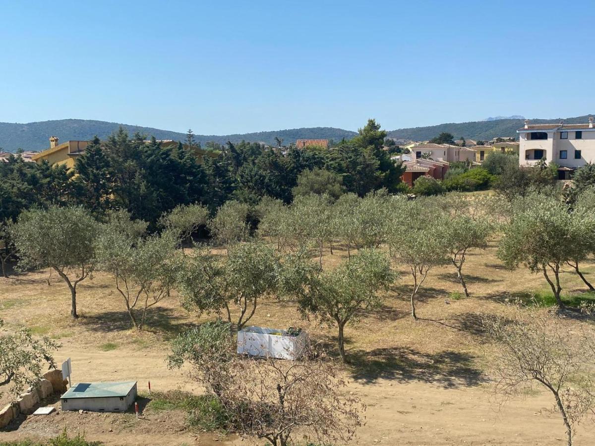 Villa Lentischio Budoni Esterno foto